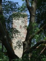 2011- 084.jpg